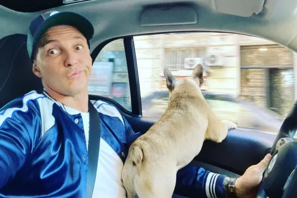 Cooper, el perro del empresario asesinado, tenía un microchip: ¿Qué importancia tiene en la investigación?