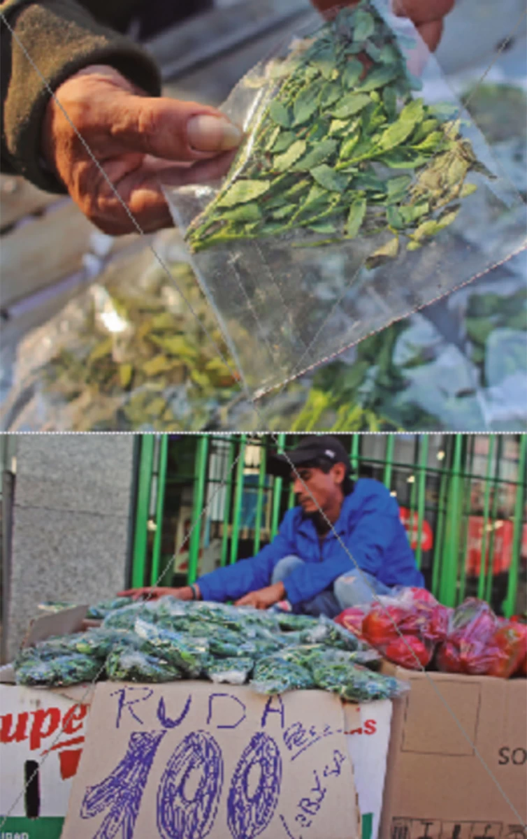 MICROCENTRO. Los puestos callejeros ofrecen ruda para comprarla al paso.