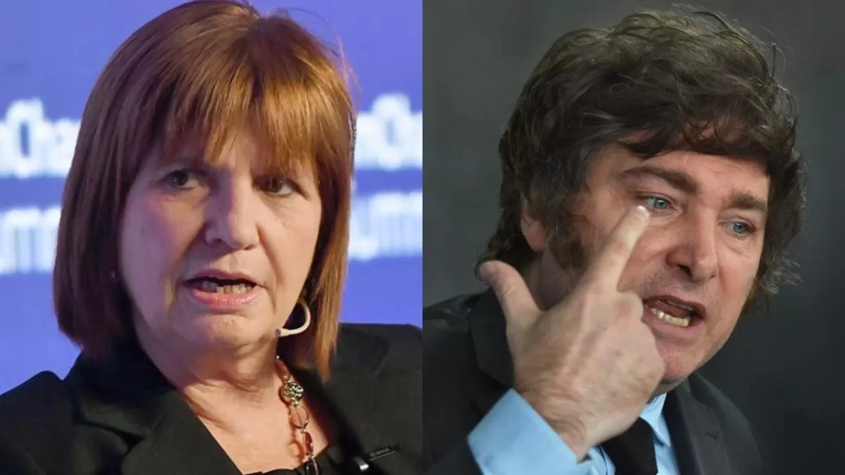 Patricia Bullrich / Javier Milei