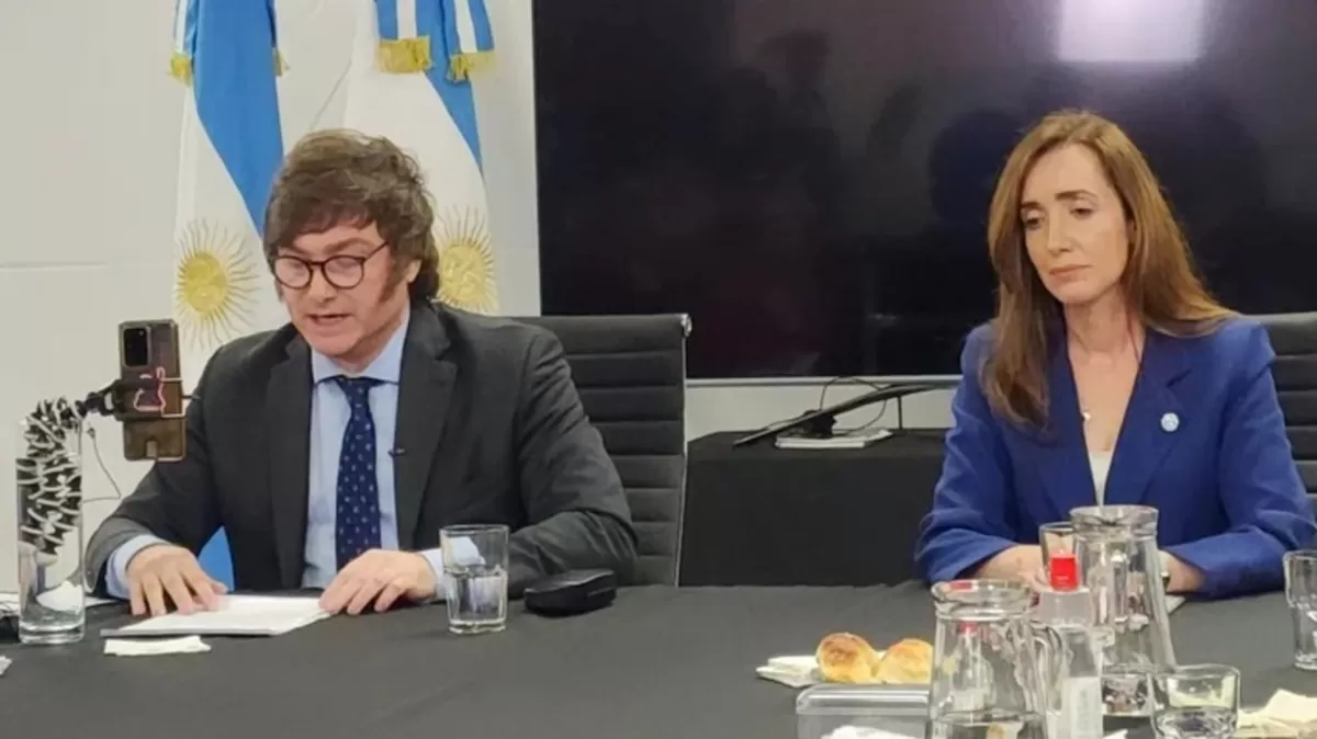 Milei presentó su plan de gobierno: qué dice sobre la apertura económica y la asistencia social