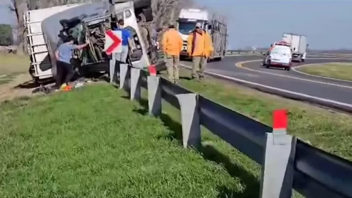 Volcó un camión que transportaba vacas y los vecinos las faenaron en plena ruta
