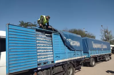 Secuestran 218.390 kilos de granos de soja y trigo sin aval legal