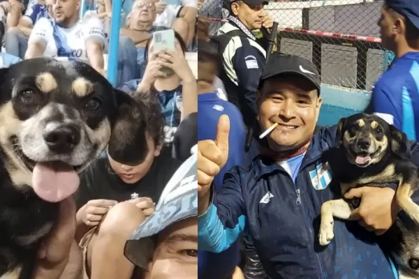 “Porquería”, el perro de Atlético Tucumán que va a la cancha y tiene Instagram