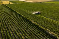 Ambicioso plan para que la agroindustria explote