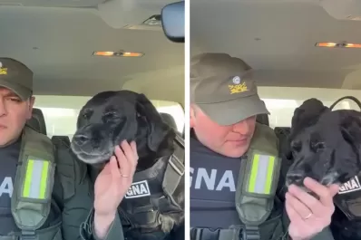 La emocionante despedida a “Pequi”, la perra que se jubiló de la Gendarmería: “Feliz retiro, compañera”