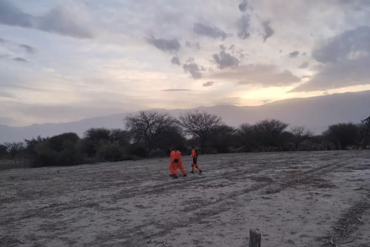 Búsqueda de la mujer de 45 años.