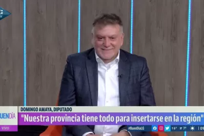 Domingo Amaya: Hoy Argentina no produce lo que consume en energía