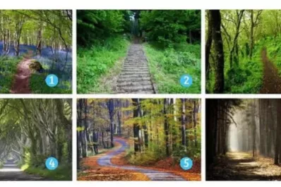 Test de personalidad: el camino que elijas puede revelar qué necesitás en tu vida