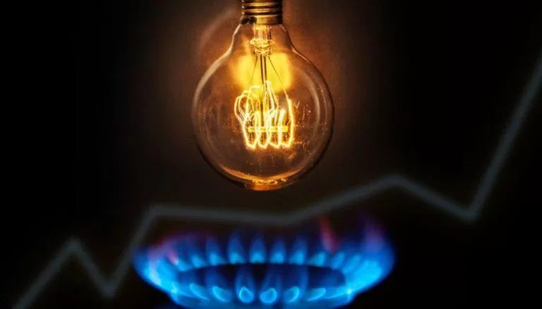 SUBDIDIOS. Es la variable del costo de la luz, y el consumo, del gas. 