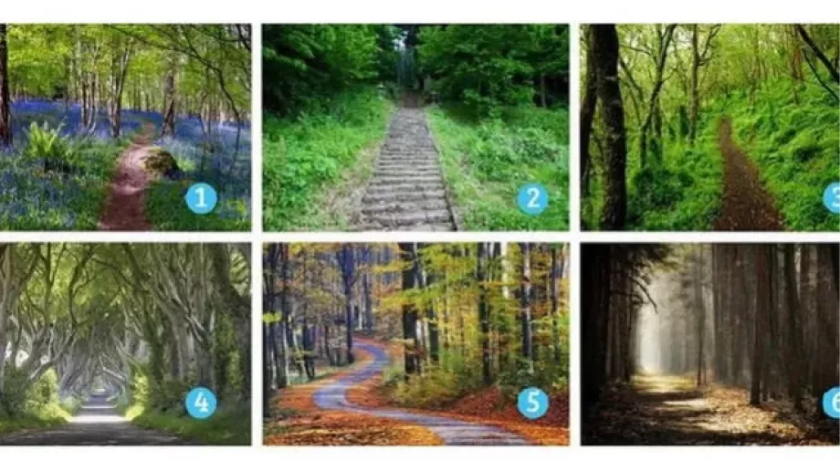 Un nuevo test de personalidad es furor en las redes sociales.