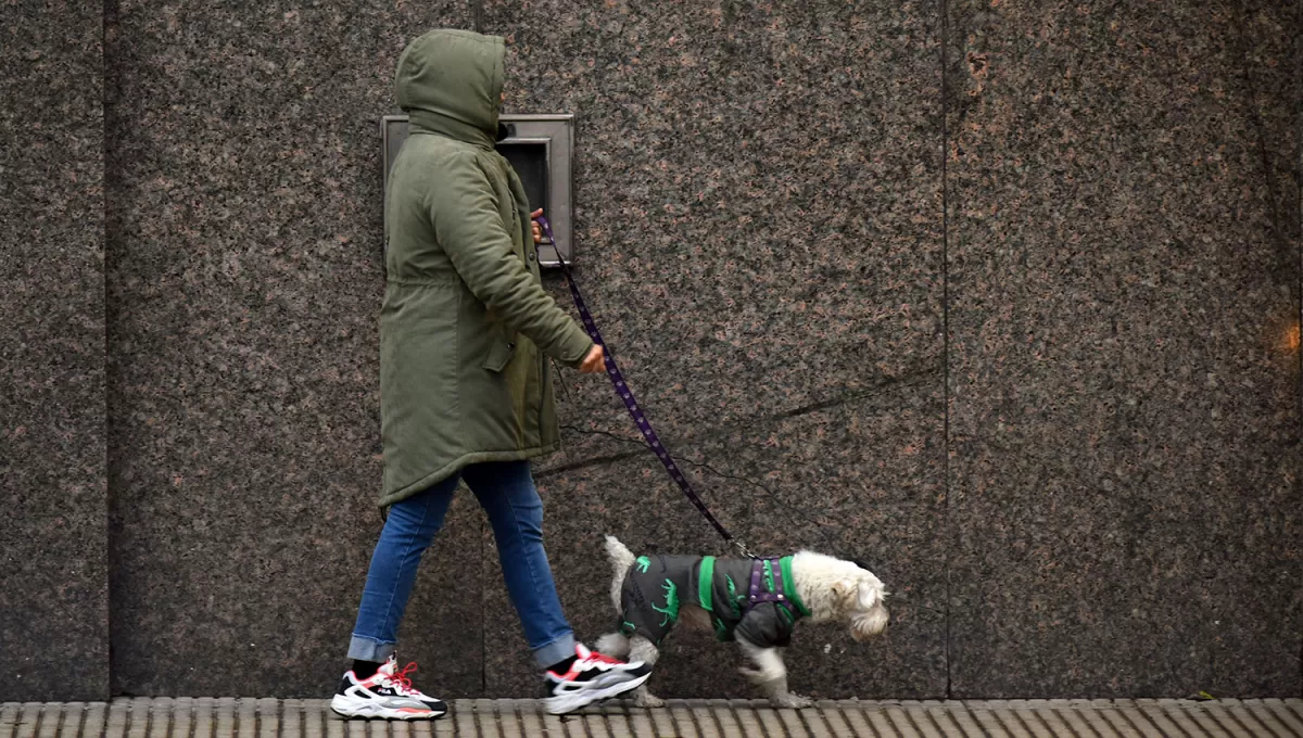 ARCHIVO LA GACETA / FOTO DE DIEGO ARÁOZ