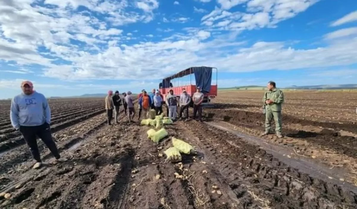 Trabajadores rurales. FOTO TOMADA DE INSTAGRAM