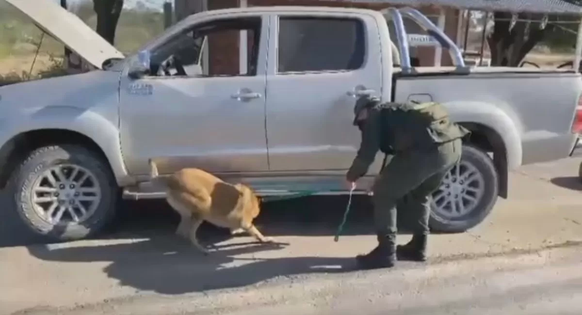 Foto tomada de Gendarmería Nacional.