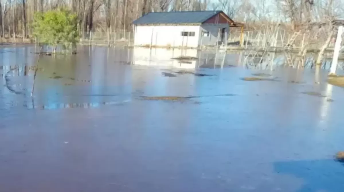 Neuquén: por las inundaciones, una isla quedó bajó el agua y sus vecino no saben cómo irán a votar