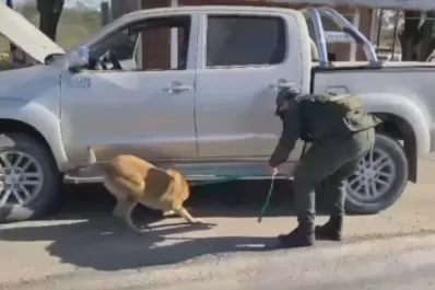 Llevaban 29 kilos de cocaína dentro del tanque de combustible de una camioneta