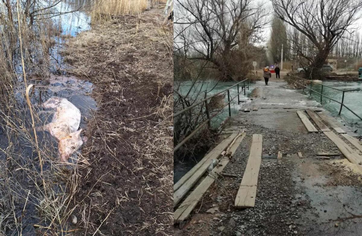 Neuquén: por las inundaciones, una isla quedó bajó el agua y sus vecino no saben cómo irán a votar