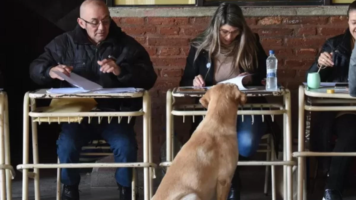 En Capital, las autoridades de mesa alcanzaron un mayor presentismo que en junio