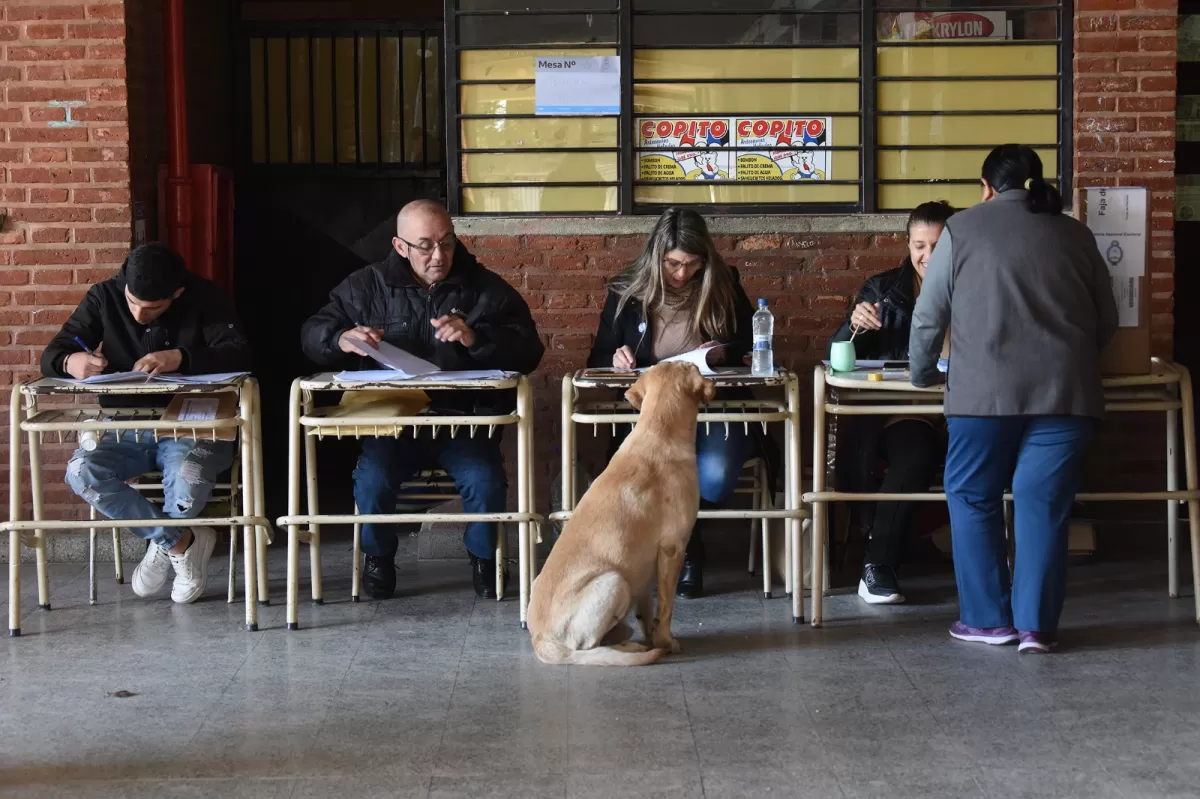 ALTO PORCENTAJE DE VOTANTES EN TODO EL PAÍS