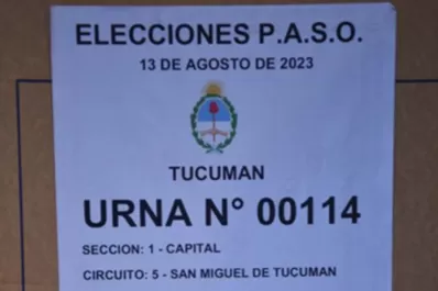 Elecciones 2023: ¿dónde ver los resultados de las PASO en tiempo real?