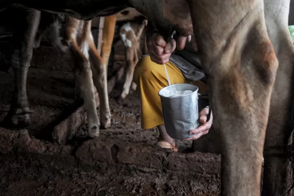 Agricultura lanzó una nueva edición del programa Coopar con un fondo de $3.000 millones
