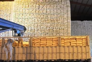 La zafra azucarera avanzó un 41% respecto de 2022