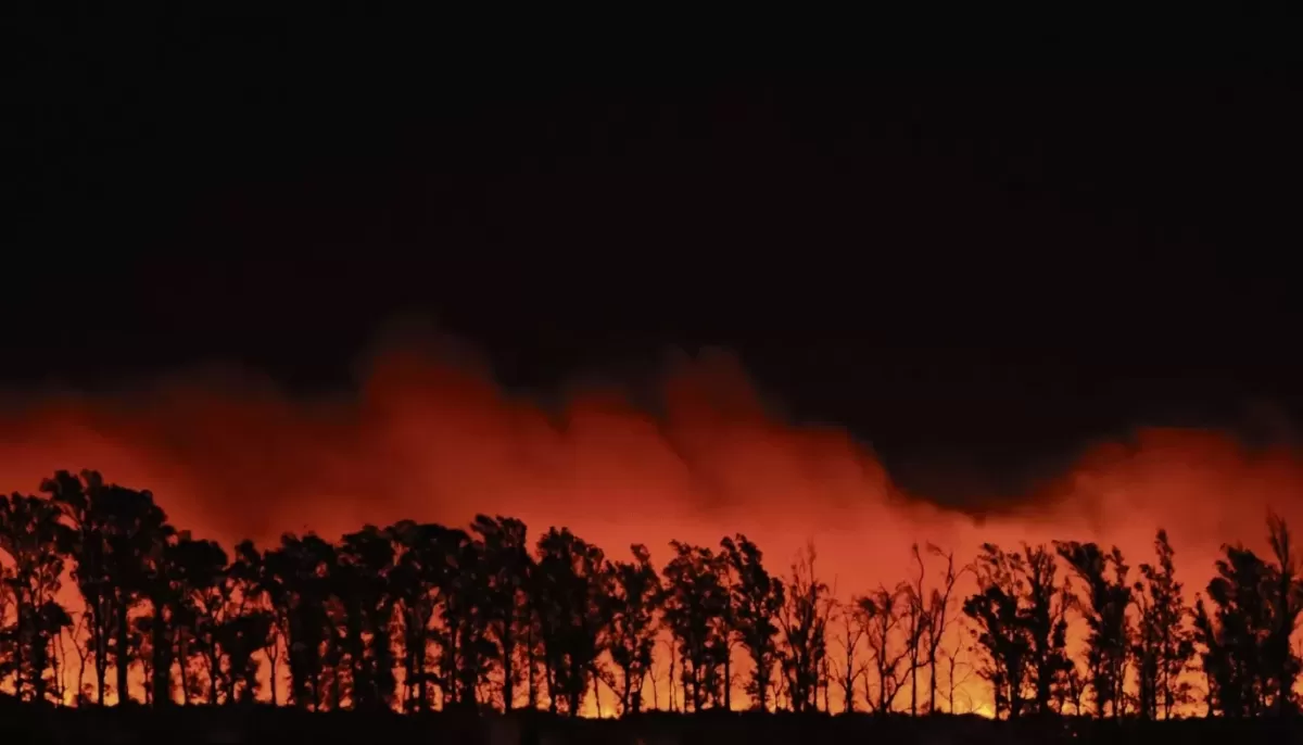 LOS INCENDIOS EN LAS CEJAS. Seguirán extendiéndose las sequías, uno de los fenómenos que marchan de la mano con el calentamiento global. ARCHIVO LA GACETA