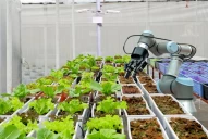 La agrobioindustria puede potenciar el país