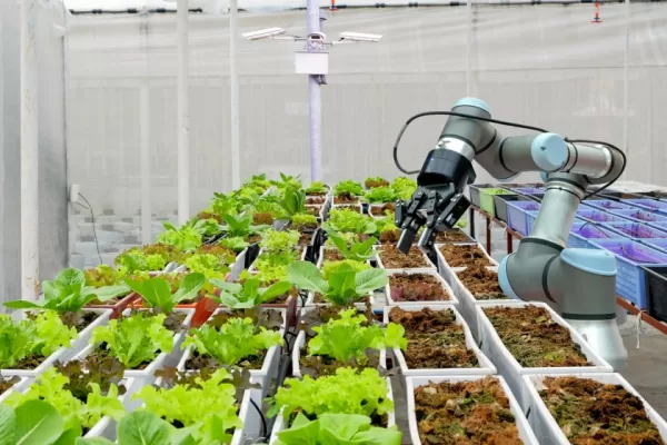 La agrobioindustria puede potenciar el país