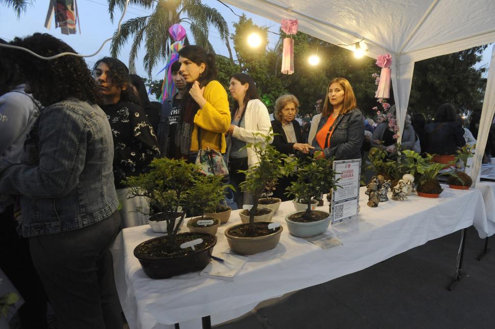 ÁRBOLES EN MINIATURA. Un pequeño jardín con bambúes y bonsáis capturaron la atención de los visitantes.