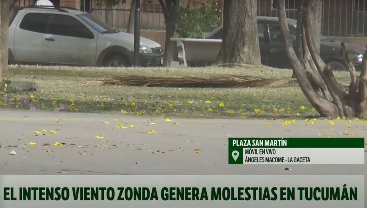 PRECAUCIONES. Desde el SMN advierten que las ráfagas terminarán en unas horas, pero recomiendan evitar los espacios al aire libre.