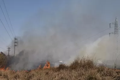 Quema de caña: Cuando el fuego llega a los cañaverales no se para más, advierten