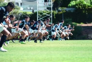 Los Pumas: ensayo final en Madrid