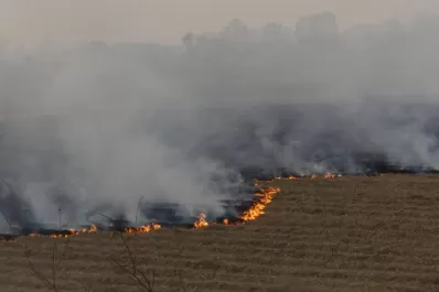 Cañeros se desligan de los incendios en sus campos