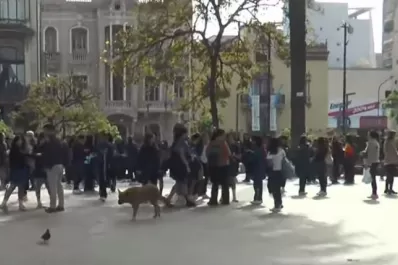 Amenazas de bomba: algunos docentes creen que se trata de un reto de TikTok