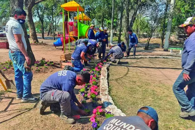 Mundo Country, la empresa de verde más grande del norte