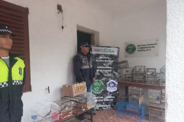 Rescatan aves autóctonas que se comercializaban en las redes sociales