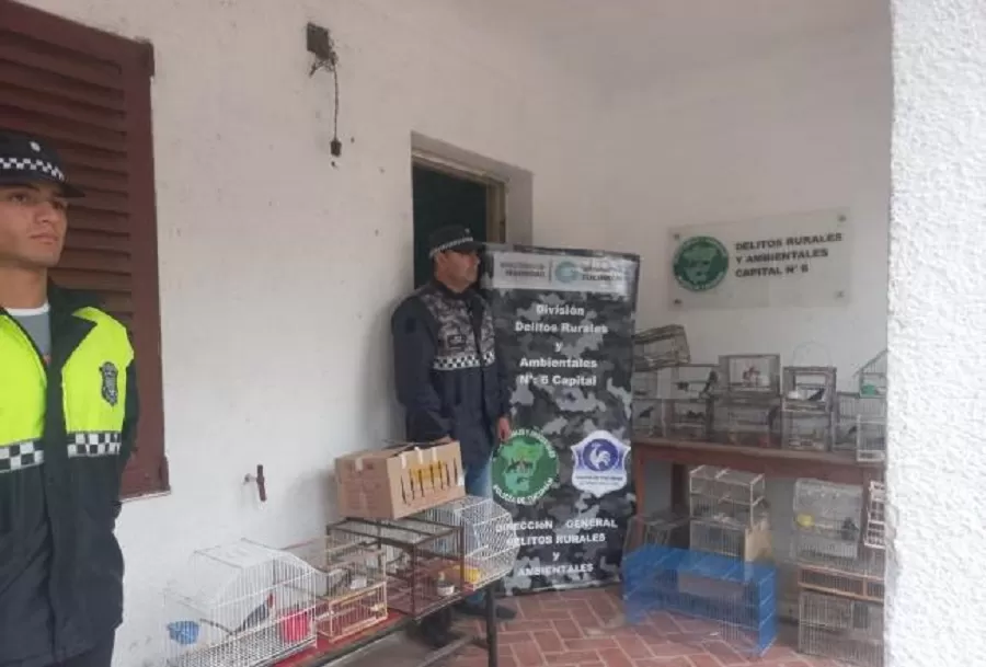 La Policía recuperó 21 aves autóctonas que eran comercializadas en redes sociales.