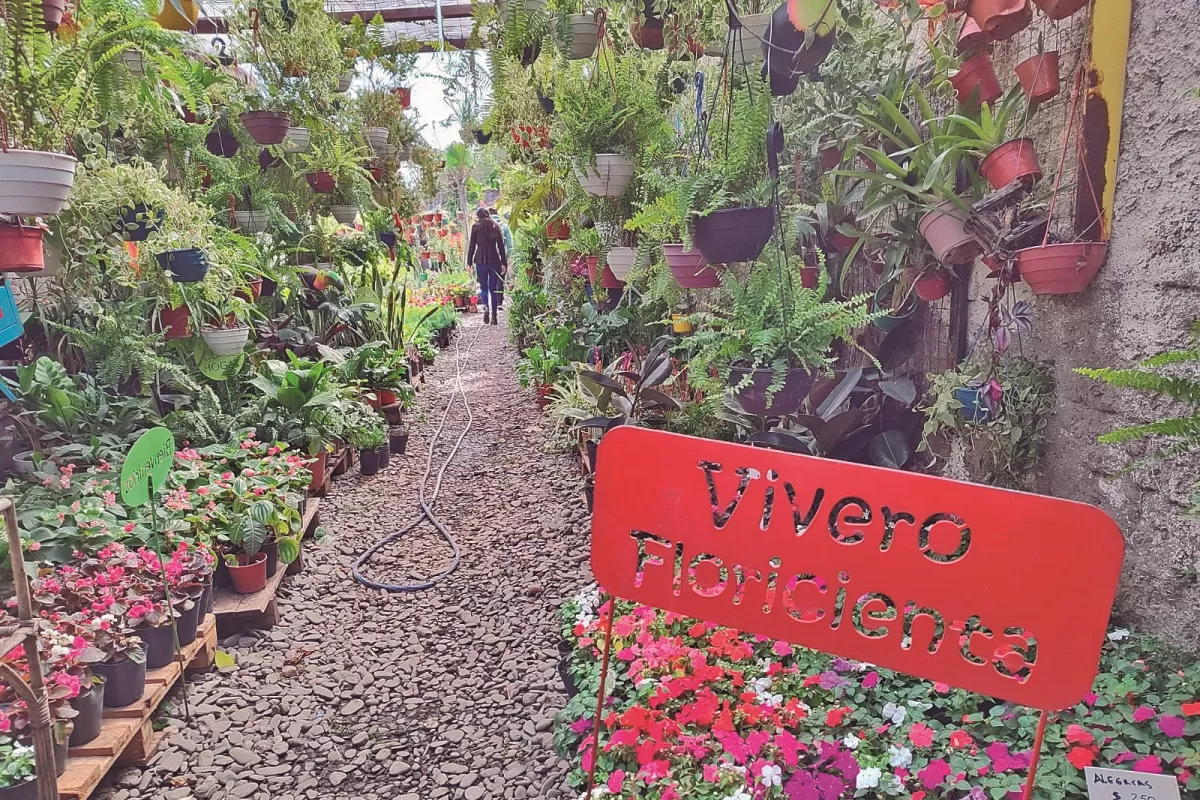 Floricienta: diseñá y equipá tu jardín