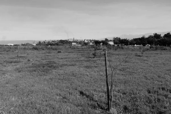 Una enorme reserva forestal tendrá Concepción, cerca de la plaza principal