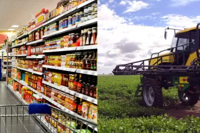 Medidas económicas de Sergio Massa: en qué consiste el acuerdo de precios y los beneficios para el agro