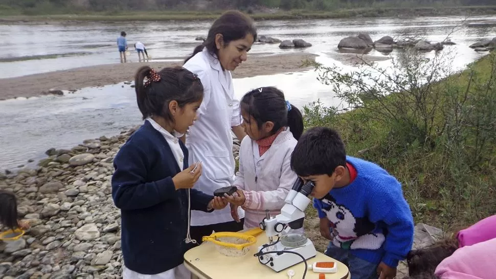 OBSERVACIONES. Alumnos y docentes durante uno de los talleres de reconocimiento de la biodiversidad acuática. 