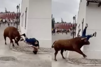 Una joven fue embestida por un toro por mirar a su celular durante una corrida