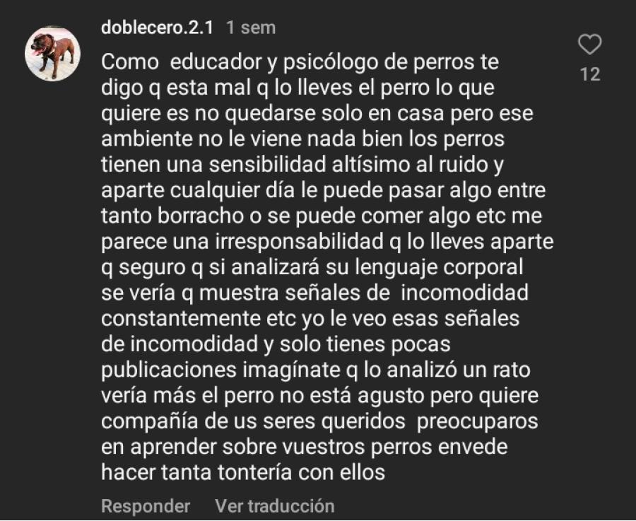 Las quejas de un “mascotero” tras la reaparición de “Porquería”, el perro “hincha” de Atlético Tucumán