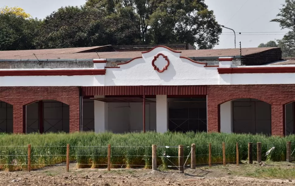 TODO LISTO. En un predio completamente renovado, pequeñas plantaciones crecen para que los visitantes puedan acercarse a reconocer de dónde vienen los alimentos. 