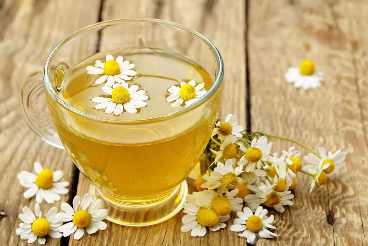 Té de manzanilla: qué beneficios tiene y cada cuánto tomarlo para relajarse