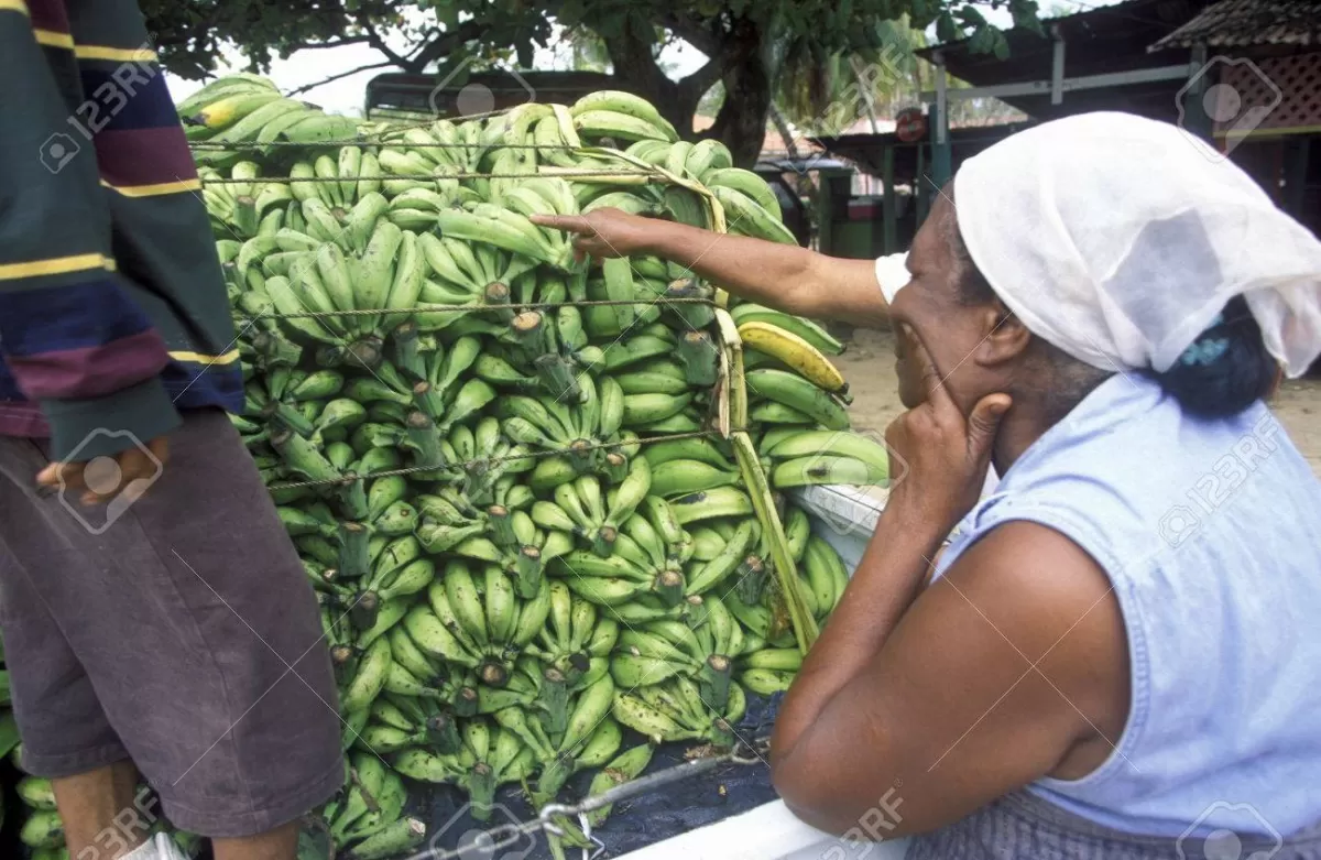 América Latina  y el Caribe pueden crecer 1,7% este año