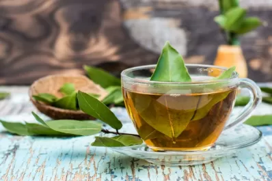 Cuáles son los cinco beneficios de tomar té de laurel en ayunas