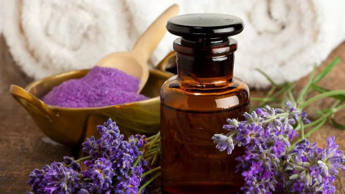Conocé cuáles son los cuatro usos mágicos de la lavanda