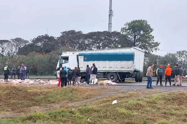 Dos camiones protagonizaron un accidente en la zona de Los Nogales