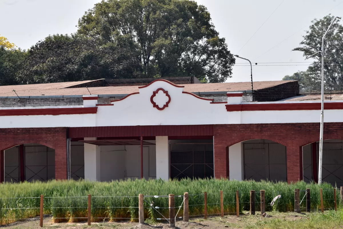 SIEMBRAS. Expertos de la Estación Experimental y del INTA plantaron caña y limón, y sembraron cultivos de invierno en la Sociedad Rural.